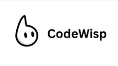 CodeWisp